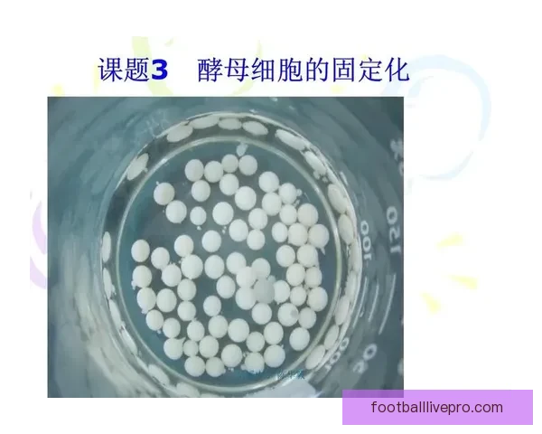 阿诺德改打后腰引发连锁反应克洛普利物浦体系实验走向成败关键